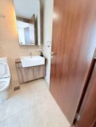 Holland Link (D10), Terrace #556148431